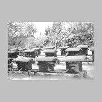 008-0005 Buergersdorf am 1.4.1941. Die Bienenvoelker des Lehrers Hellmig werden von einem ploetzlichen Wintereinbruch ueberrascht..jpg